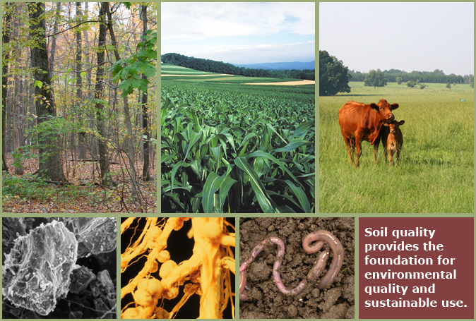 montage of soil quality photos