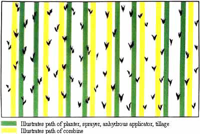 controlled traffic pattern