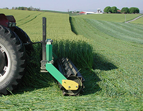 roller crimping small grain cover crop