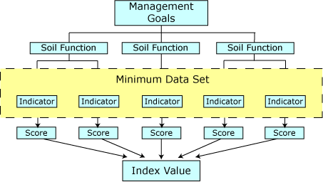 minimum data set