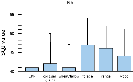 NRI case study