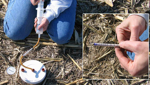 measuring soil respiration