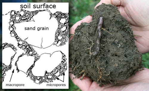 soil structure and macropores