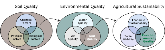 sustainability diagram